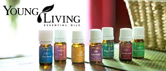 YL essential oils that are super helpful